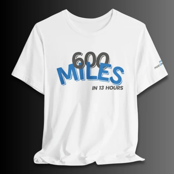 600 Miles in 13hrs - Image 3
