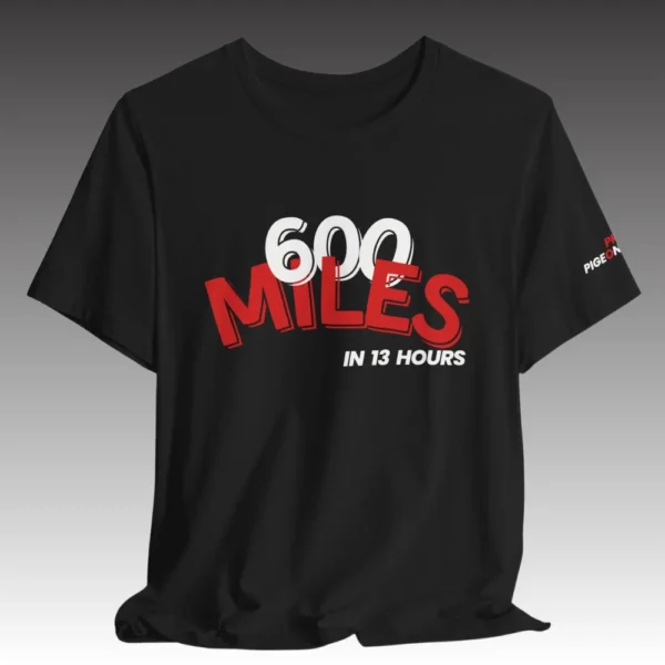600 Miles in 13hrs - Image 6