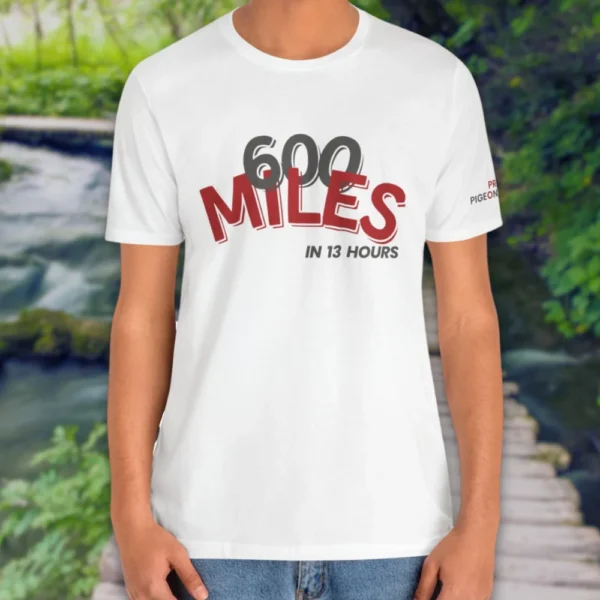 600 Miles in 13hrs - Image 4