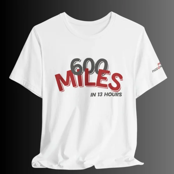 600 Miles in 13hrs